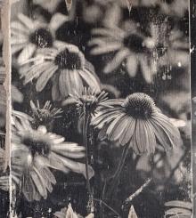 photo wood transfer