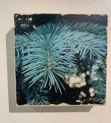 photo wood transfer