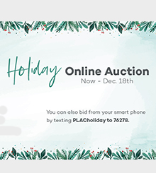 Holiday Online Auction