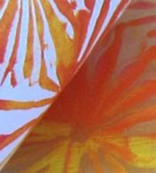 Printmaking with Gel Plates