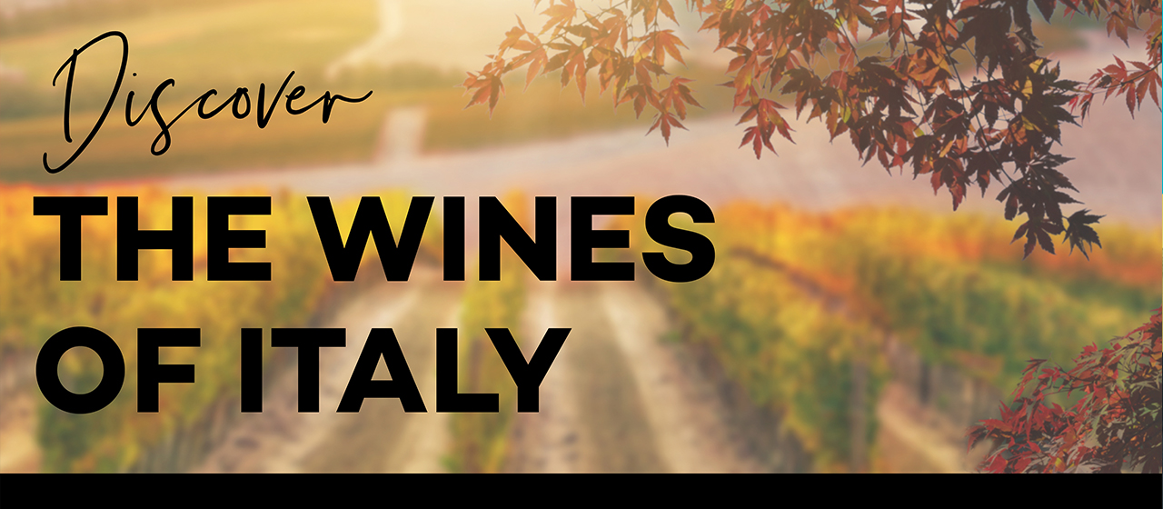 Wine Class | November | Discover the wines of Italy
