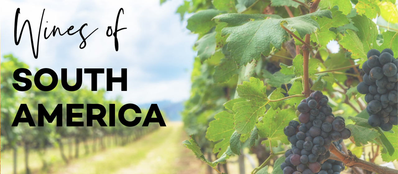 Wine Class | April | South American Wines