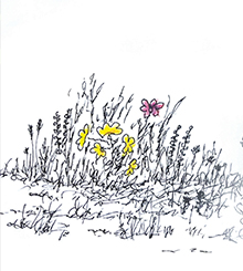 Walking with Bear: From the Journals of Avis Davis