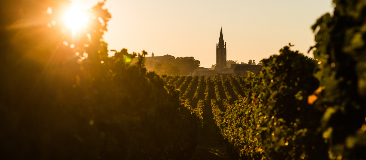 Wines of Bordeaux