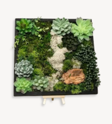 Nature Composition: Moss Wall Art