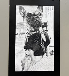 Dickinson County All School Show