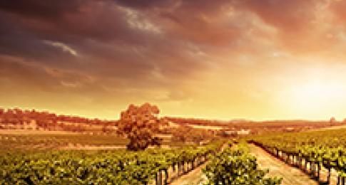 Wine Class | February | Wines of Australia