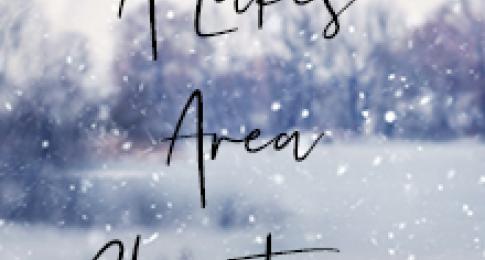 A Lakes Area Christmas
