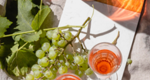 Sunshine in a Glass - Summer Wines With Jennifer Tritle-Oitzman