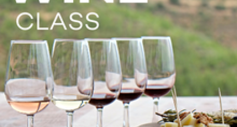 Blind Tasting: Cool Climate vs Warm