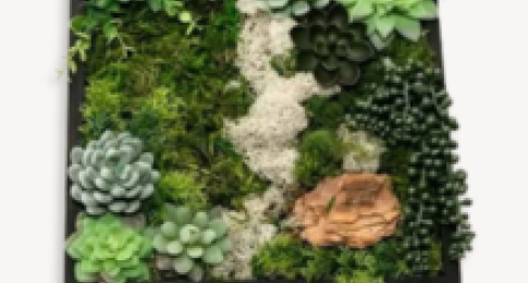 Nature Composition: Moss Wall Art