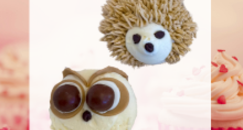 Valentine Cupcake Decorating