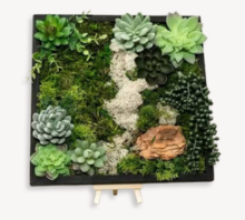 Nature Composition: Moss Wall Art