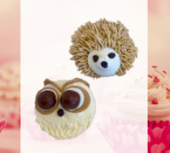 Valentine Cupcake Decorating