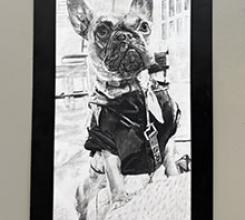 Dickinson County All School Show